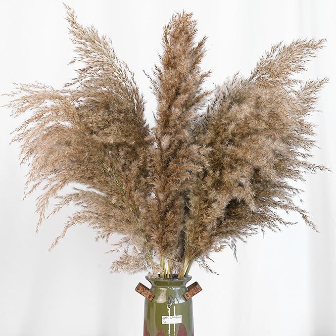 20 PCS Dried Flower, 30-inch Tall Nature Pampas Grass Bouquet Decor - Boho Flowers and Feathers for Centerpieces, Perfect for Tall Floor Vase Fillers, Living Room, and Wedding Decor(White, Natural)