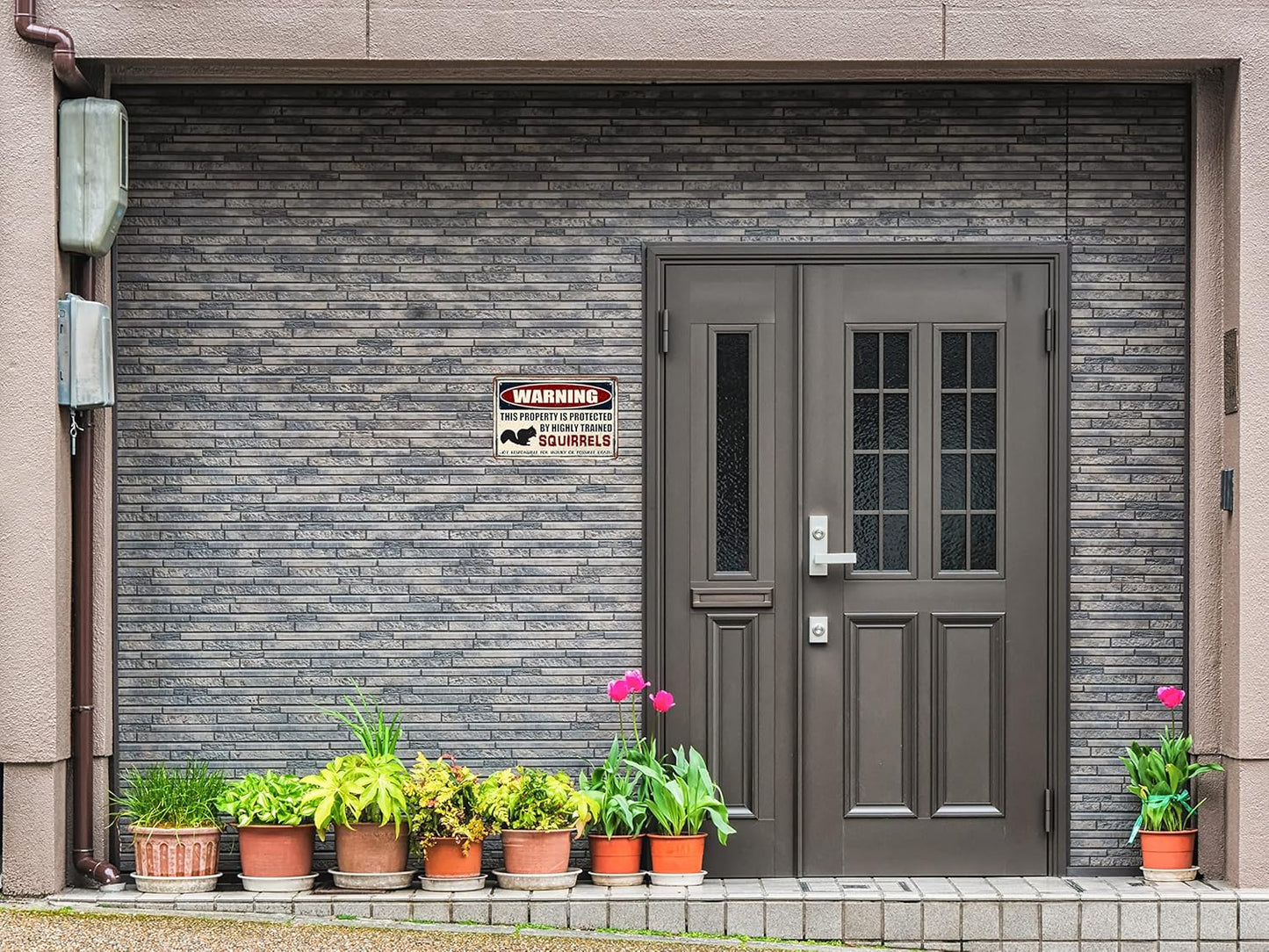 Funny Squirrels Decor Vintage Metal Tin Signs Plaque Wall Decor Bar Pub Man Cave Club Novelty Bathroom Toilet Retro Parlor Posters Cafe Store Garage Rule 8x12 In