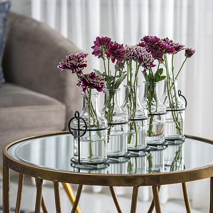 5pc Glass Flower Vase with Metal Holder, Best Vases for Flowers, Set for Home Decor, Wedding Decorations, Table Decor, Kitchen, Bathroom, Bedroom, Shelf Decor, Best Modern Vase for Flower Arrangement
