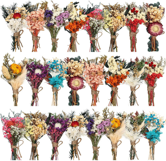 Layhit 24 Pcs Boho Dried Flower Bouquet Mini Wedding Handmade Dry Flowers Decor for Vase Crafts DIY Photo Boutonniere for Men Floral Plant for Bridesmaid Gift Birthday Decor(Colorful)