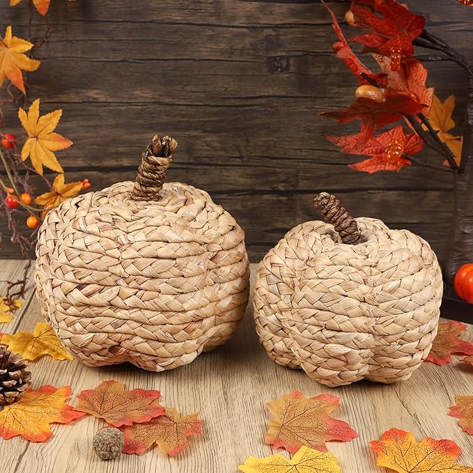winemana 2 Pack Pumpkin Fall Decor Thanksgiving Decorative Pumpkins for Home Woven Cattail Figurines Farmhouse Autumn Decorations Fall Centerpieces for Table Porch Mantel Indoor (Beige)