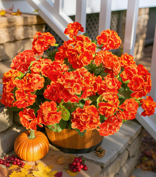 Fake Geraniums Artificial Flowers for Outdoors Fall Autumn Decoration, 6 Bundles Silk Geraniums UV Resistant Look Real Orange Faux Flowers Plants for Front Door Garden Planter Patio Balcony Yard Home