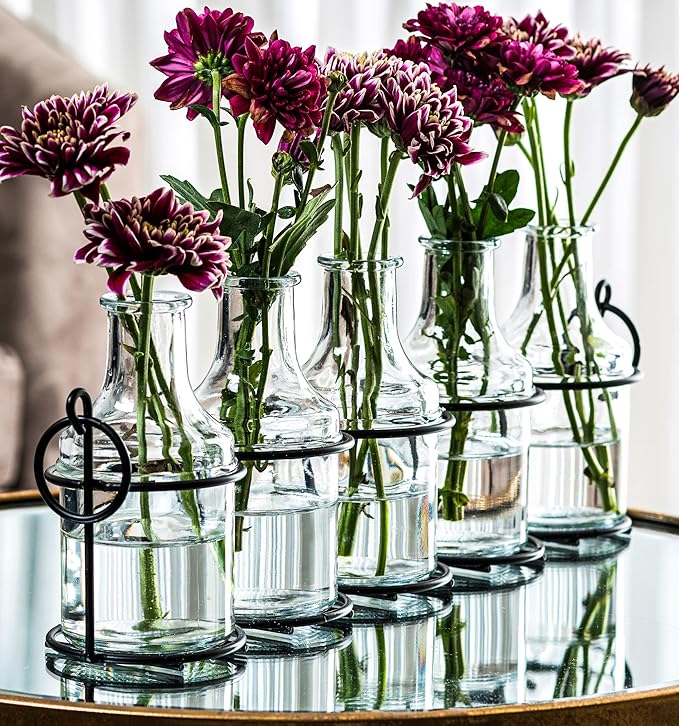 5pc Glass Flower Vase with Metal Holder, Best Vases for Flowers, Set for Home Decor, Wedding Decorations, Table Decor, Kitchen, Bathroom, Bedroom, Shelf Decor, Best Modern Vase for Flower Arrangement