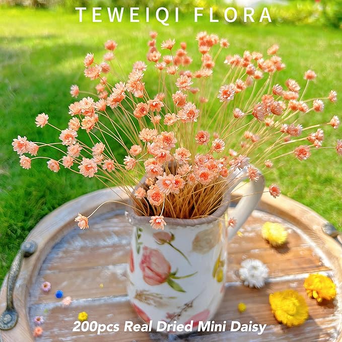 200 Stems Natural Dried Flowers Brazilian Small Star Daisy Dried Decorative Mini Chamomile Bouquet for Wedding Floral Arrangements Home Decorations Valentine's Day Gifts (Orange)