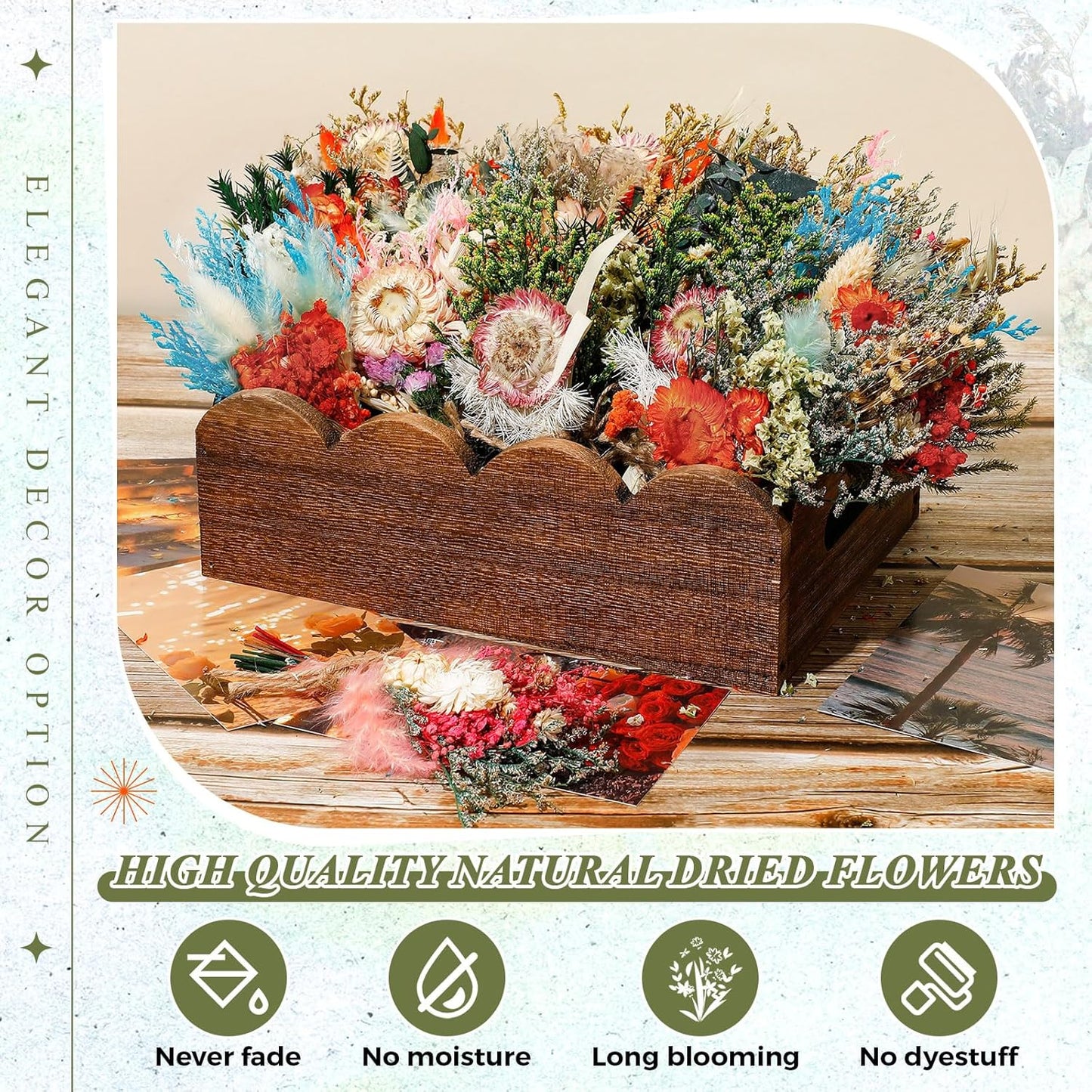 Layhit 24 Pcs Boho Dried Flower Bouquet Mini Wedding Handmade Dry Flowers Decor for Vase Crafts DIY Photo Boutonniere for Men Floral Plant for Bridesmaid Gift Birthday Decor (Gerbera Daisy)