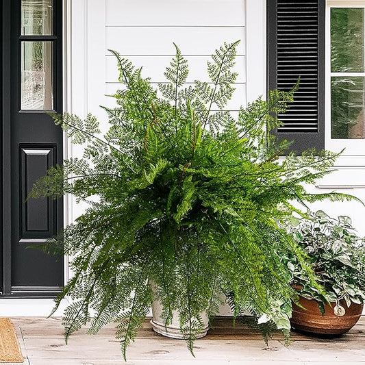 4PCS Lifelike Fake Fern Plants UV Resistant Artificial Boston Ferns for Outdoor Indoor Large Fake Greenery Plants No Wither for Front Porch Garden Window Home Decoration