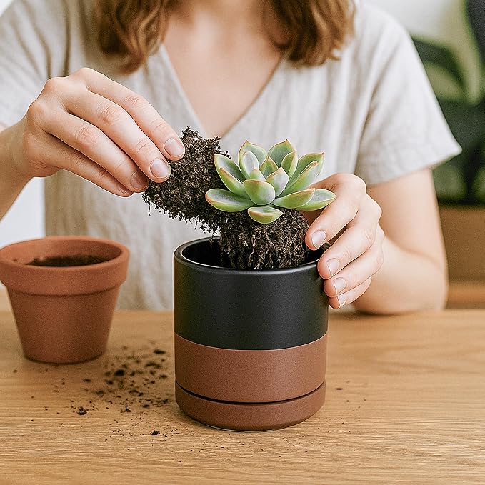 D'vine Dev Set of 2 Plants Pots, 3.5 Inch Ceramic Planter Pot for Plants with Drainage Hole and Saucer, Black/Speckled Tan, 94-V-A-7