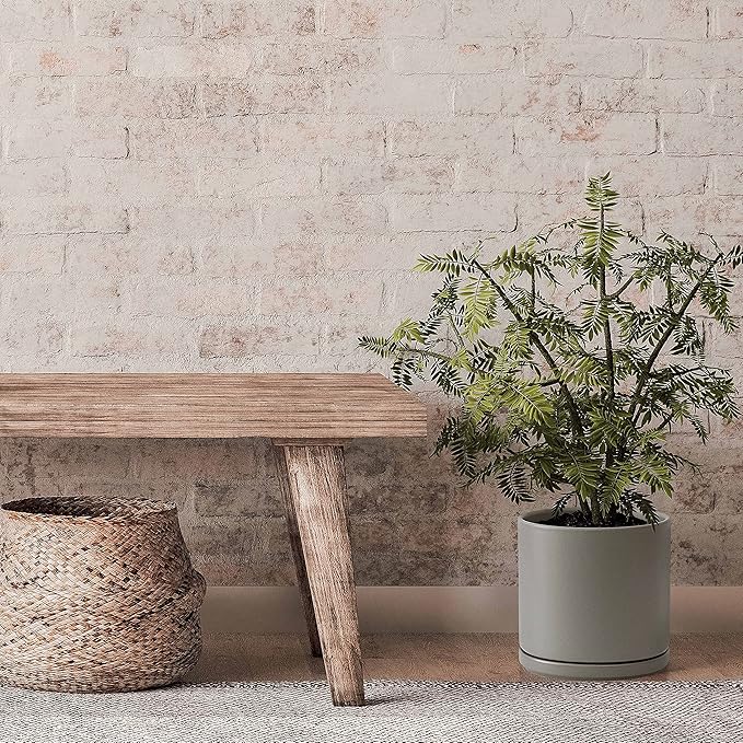 Set of 2 Plants Pots, 8 Inch Ceramic Planter Pot for Plants with Drainage Hole and Saucer, Speckled Grey, 94-V-D-3